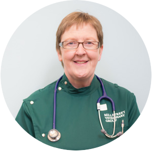 Vet Mairead Wallace-Pigott with a stethoscope