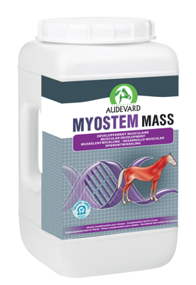 MYOSTEM MASS 2.1kg