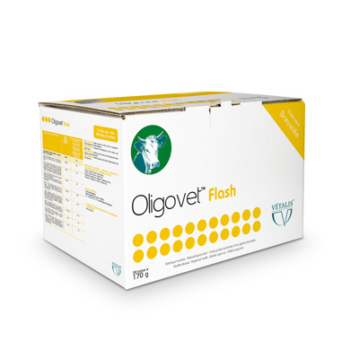 Oligovet Flash (Box 12 x 170gr)