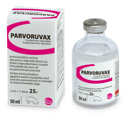 Parvoruvax  100ml (50 doses)