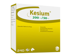 KESIUM CHEWABLE TABS - 250 mg 200/50 (240 Tabs)
